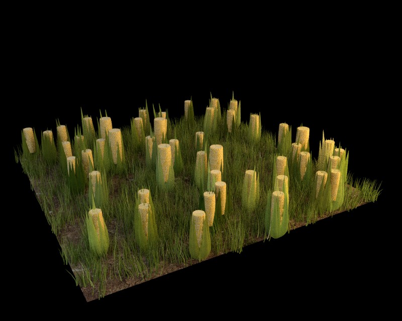 Cycles Grass 3 + Corn preview image 3